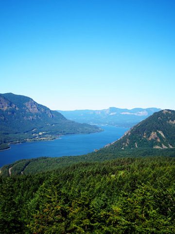 Dog Mountain Hike with Naked Juice | thekitchenpaper.com