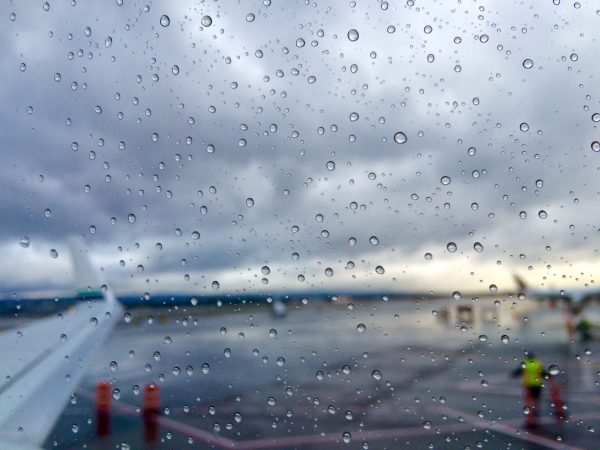 Life in Pictures | thekitchenpaper.com