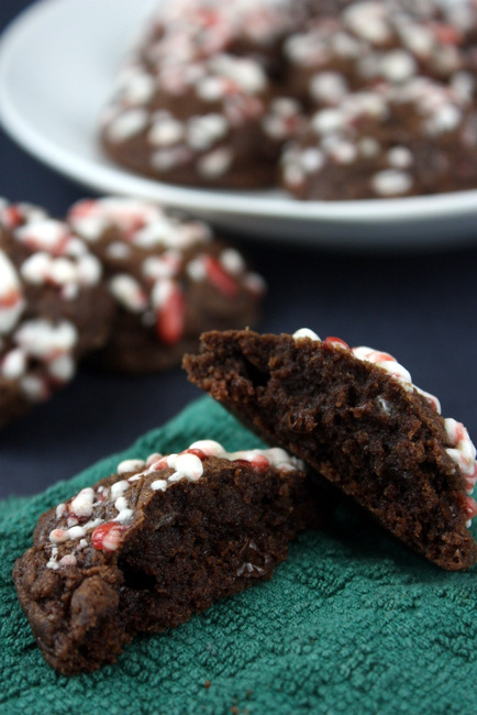 Chocolate Candy Cane Cookies