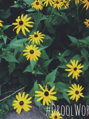 #DroolWorthy | thekitchenpaper.com