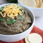 Spicy Black Bean Dip