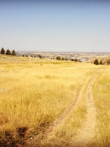 Four Weeks until Twin Cities