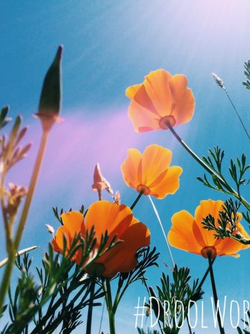 #DroolWorthy | thekitchenpaper.com