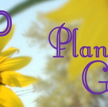 how to plan a garden