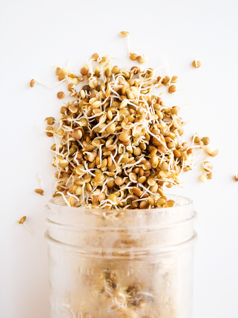 Sprouted Lentil Breakfast Bowl | thekitchenpaper.com